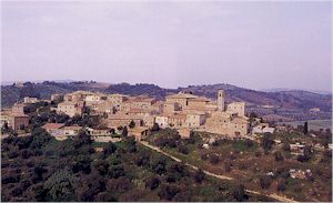 brunello di montalcino