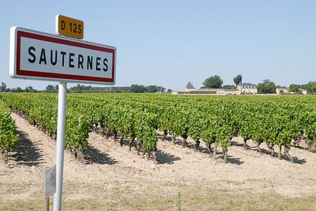 sauternes
