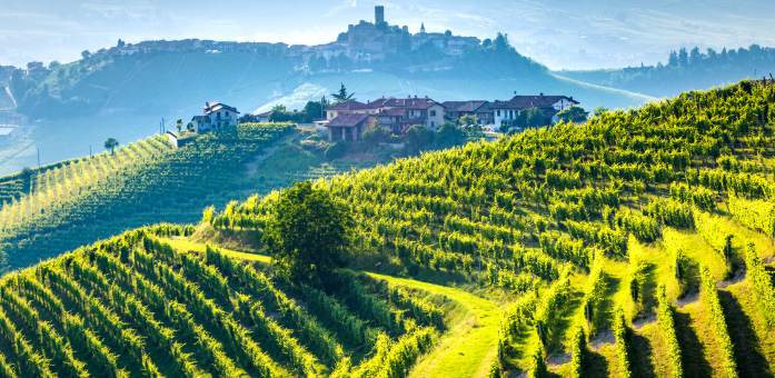 barolo marker i 2017